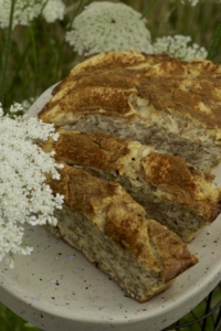 Haver-Appelcake